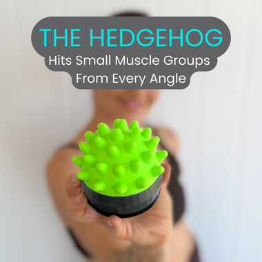 Attachment - The Hedgehog