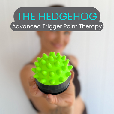 Attachment - The Hedgehog