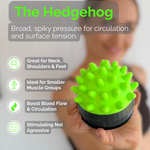 xMount: 3-in-1 Wall Mountable Trigger Point Set