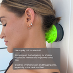 Attachment - The Hedgehog